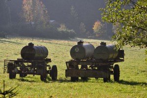 Landwirtschaft im Thüringer Wald