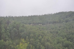 Züge fahren durch die Berge