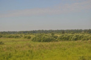 Sibirien kurz hinter dem Ural