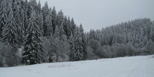 Landschaft bei Willingen im Sauerland
