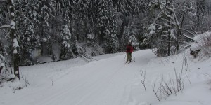 Loipe Paradies in Willingen