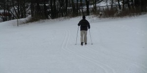 Langlauf in der Loipe