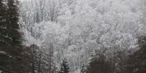 Winterlandschaft im Sauerland