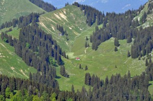 Alpenpanorama