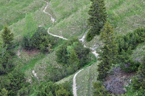 Typischer Steig durch die Alpen