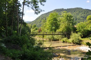 Brücke über den Kiefernbach