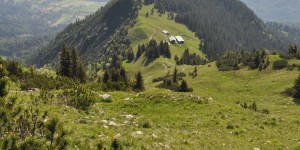 Panorama vom Hirschberg