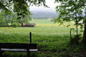 Wanderweg in Rottach-Egern