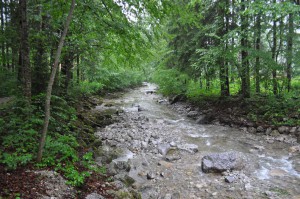 Rottach