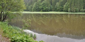 Suttensee