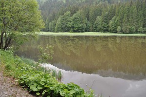 Suttensee