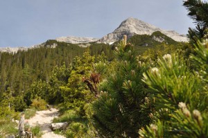 Der Guffert von unten