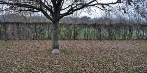 Geografischer Mittelpunkt von Dänemark