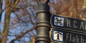 Schwan oder hässliches Entlein