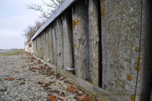 alknochenzaun auf Rømø