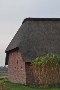 Typisches Reetdachhaus
