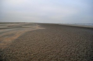Strand von Rømø