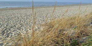 Dänischer Nordseestrand