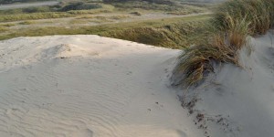 Dünenlandschaft