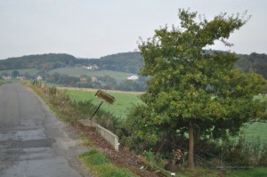 Landschaft am belgischen Jakobsweg
