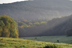 Bilderbuchlandschaft