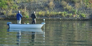 Angler auf der Maas