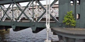 Einsames Bäumchen auf einer Brücke