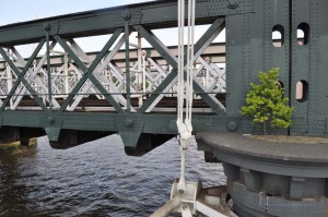 Einsames Bäumchen auf einer Brücke