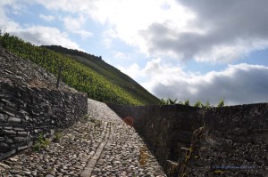 Wanderung zur Rosenburg