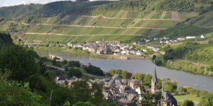 Weinlandschaft
