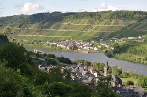 Weinlandschaft