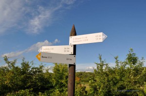 Wanderwegweiser