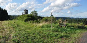 Wanderweg