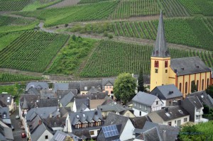 Blick auf Senheim