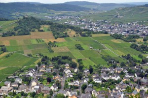 Mosellandschaft