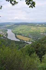 Blick auf Kues