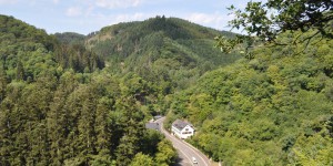 Hügellandschaft bei Bad Bertrich
