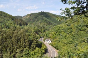 Hügellandschaft bei Bad Bertrich