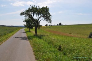 Wanderweg bei Bad Bertrich