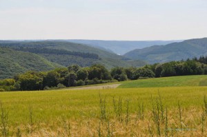 Moselblick