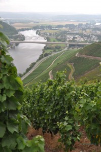 Schweich an der Mosel