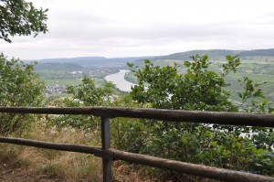 Aussicht auf die Mosel