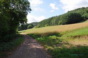 Wanderweg im Drohntal