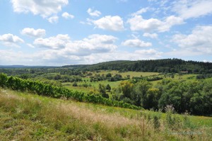 Mosellandschaft
