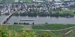 Blick auf die Mosel