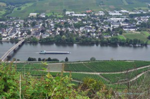 Blick auf die Mosel
