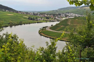 Mosel
