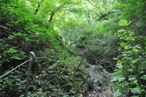 Seilsicherung