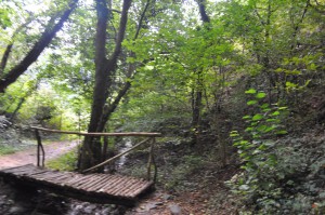 Brücke über den Dortebach