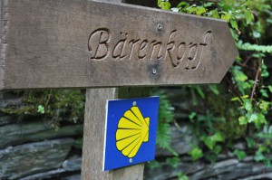 Mosel Camino